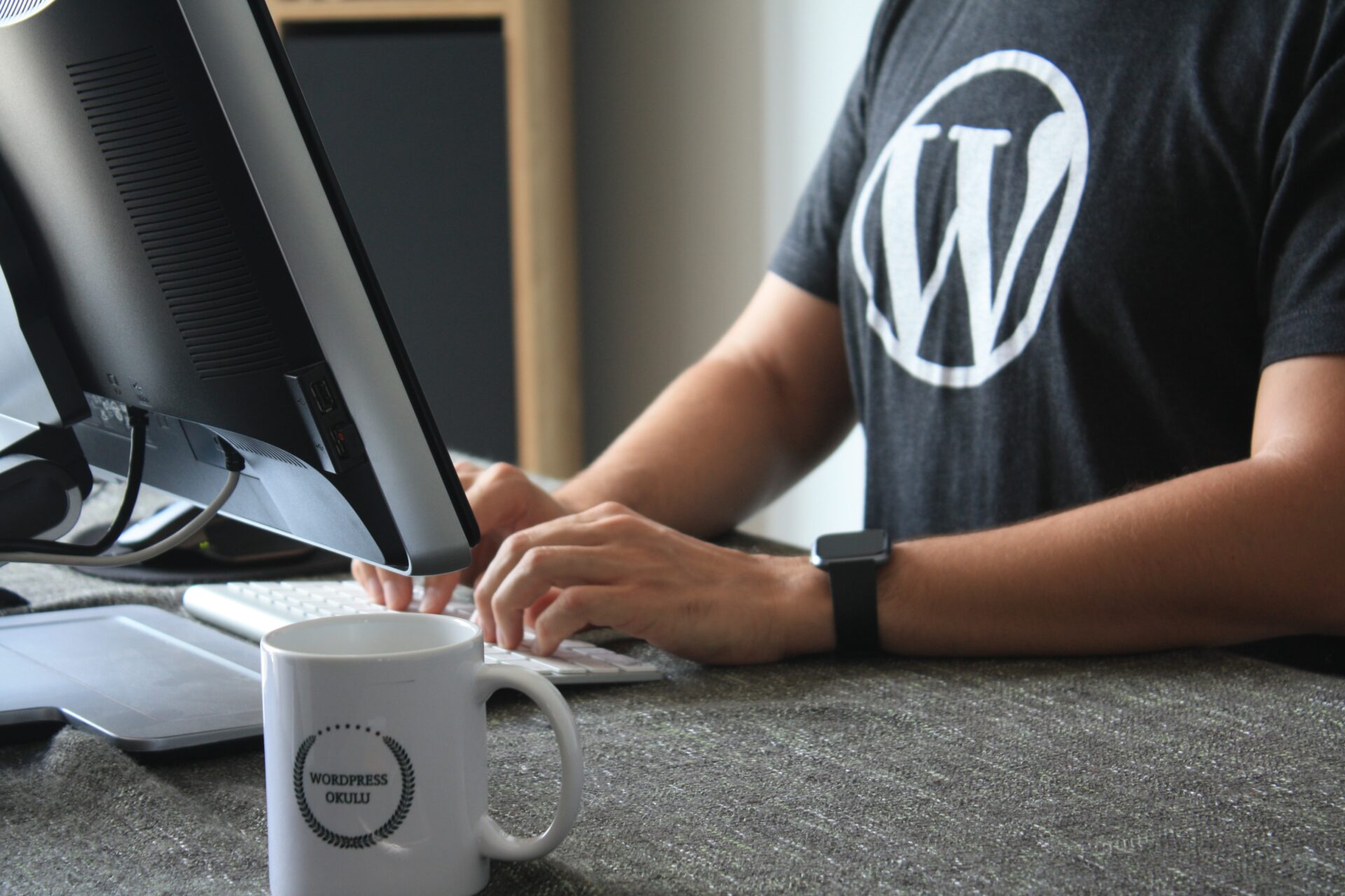 The Beginner's Guide to WordPress: Everything You Need to Know